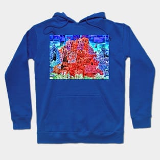 Trees in Red and Blue Hoodie